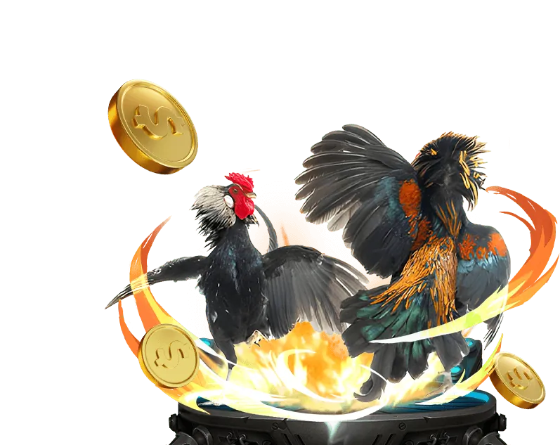 Đá Gà Cựa Sắt kịch tính